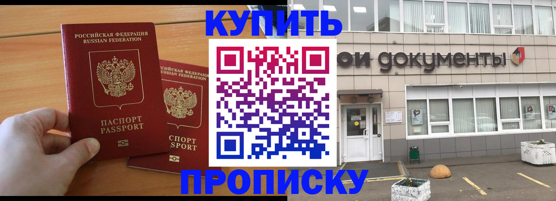 миграционный учет в Кингисеппе